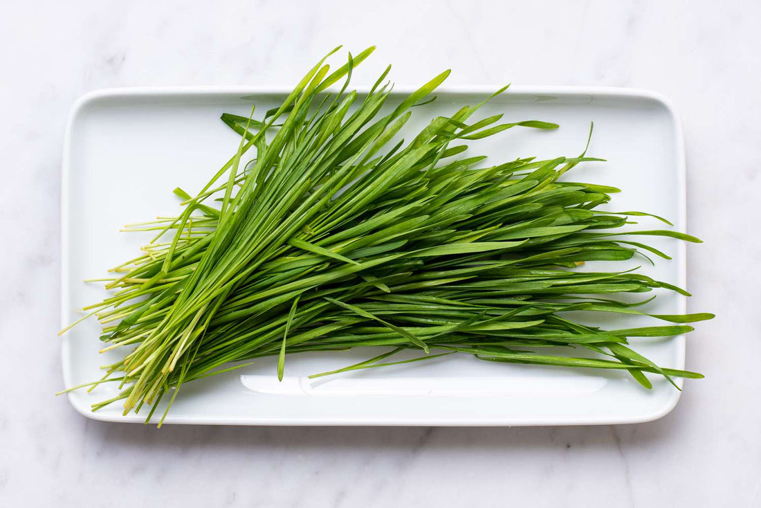 Shield Yourself from Radiation with the Healing Power of Barley Grass Juice Powder