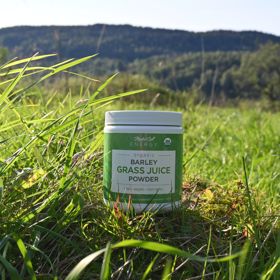 Shield Yourself from Radiation with the Healing Power of Barley Grass Juice Powder